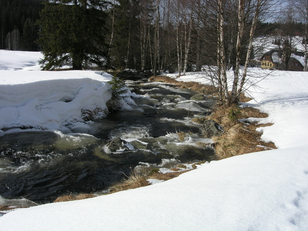 Sumava/r (23)